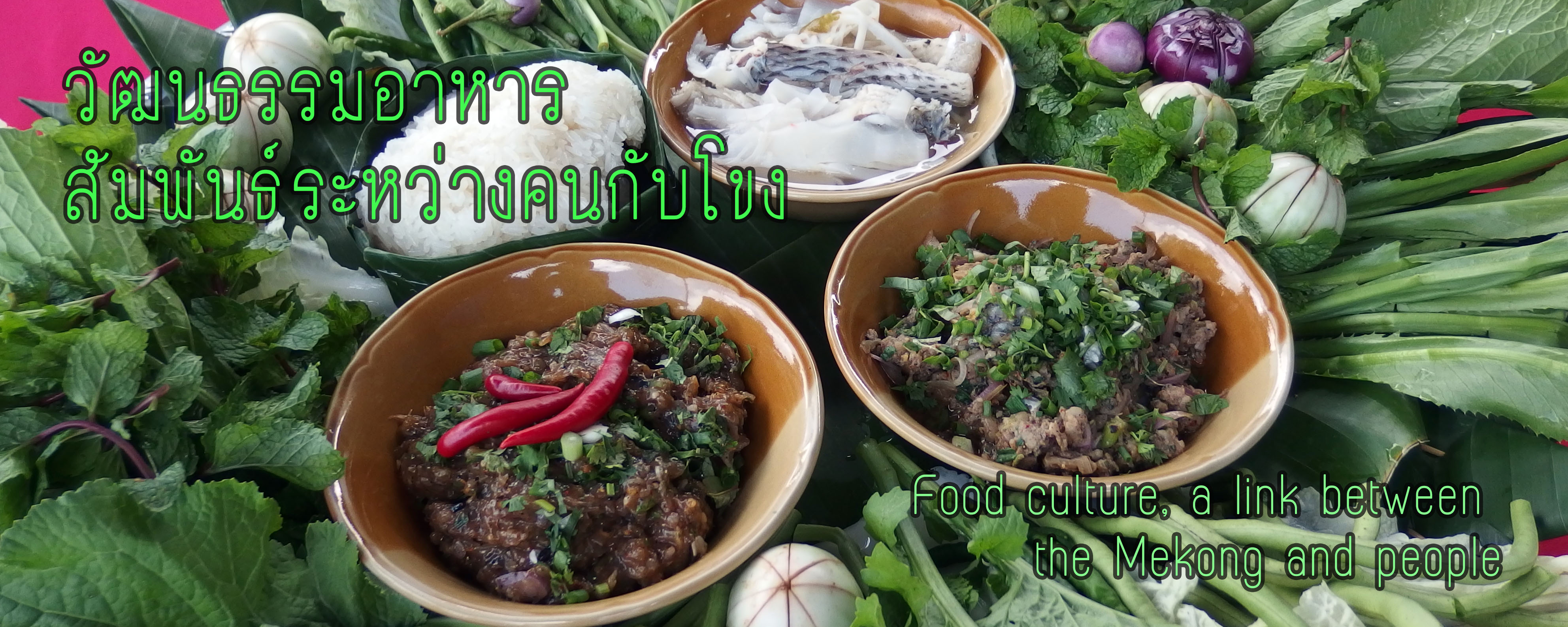 Mekong food 5x2
